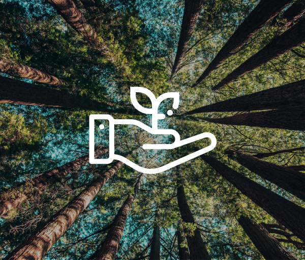 Transição Climática